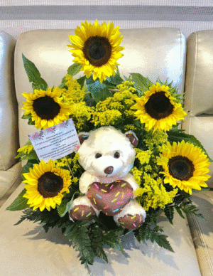 Girasoles y peluche R15