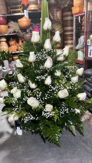 Arreglo de 24 rosas R48